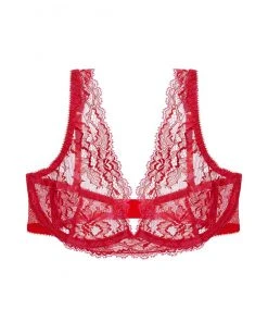 Journelle DD+ Chloe Plunge Bra