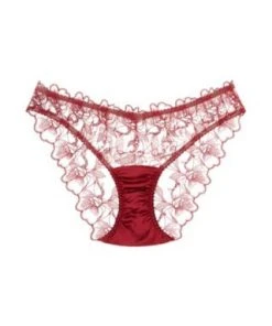 Fleur Of England Marilyn Brief 3 Fleur Of England Marilyn Brief