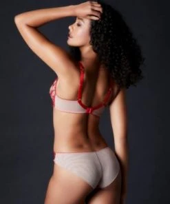 TeAmore Spotlight Embroidered Brief TeAmore 6 TeAmore Spotlight Embroidered Brief TeAmore