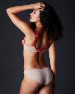 TeAmore Spotlight Embroidered Brief TeAmore 3 TeAmore Spotlight Embroidered Brief TeAmore