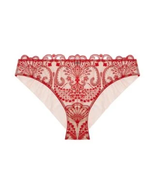 TeAmore Spotlight Embroidered Brief TeAmore 4 TeAmore Spotlight Embroidered Brief TeAmore