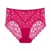 Hanro Luxury Moments Lace Back Brief