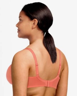 Chantelle Montaigne Plunge Underwire Bra Chantelle Montaigne Plunge Underwire Bra