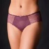 Chantelle Waltz Hipster Underwear
