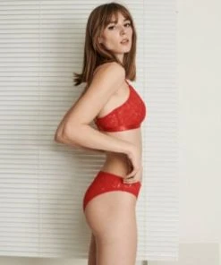 Underprotection Sale Feline Bra 5 Underprotection Sale Feline Bra