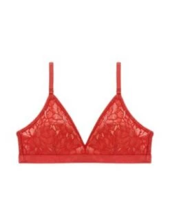 Underprotection Sale Feline Bra 7 Underprotection Sale Feline Bra