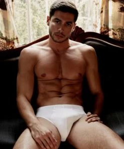 Hanro Underwear Cotton Superior Brief