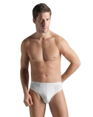 Hanro Underwear Cotton Superior Brief 2 Hanro Underwear Cotton Superior Brief