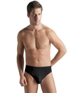 Hanro Cotton Superior Brief