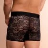Menagerie Underwear Core Lace Boxer Brief