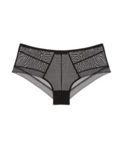Samantha Chang Jet Set Mesh Hipster Underwear