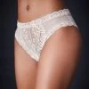 Natori Boyshort Feathers Hipster